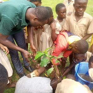 Journée nationale de l&rsquo;arbre