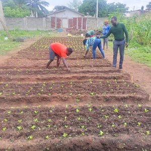 À la découverte de SinVerte Bénin, un partenaire de l&rsquo;ONG Monde Actions Durables